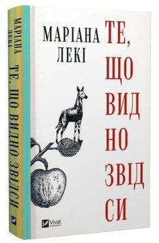 Книга "Те, що видно звідси" - Лекі М. (Тверда обкладинка, українською мовою) VIVAT00453 фото