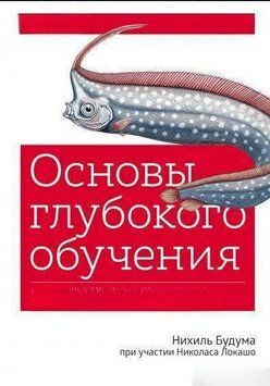 Книга "Основи глибокого навчання. Створення алгоритмів для штучного інтелекту наступного покоління" DGN00706 фото