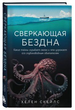 Книга "Блискуча безодня" - Скейлз Х. (Тверда обкладинка) DGN05100 фото