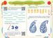 Альбом-посібник з мистецтва Барвограй 4 клас. НУШ - Шевченко Н. PIP0129 фото 2
